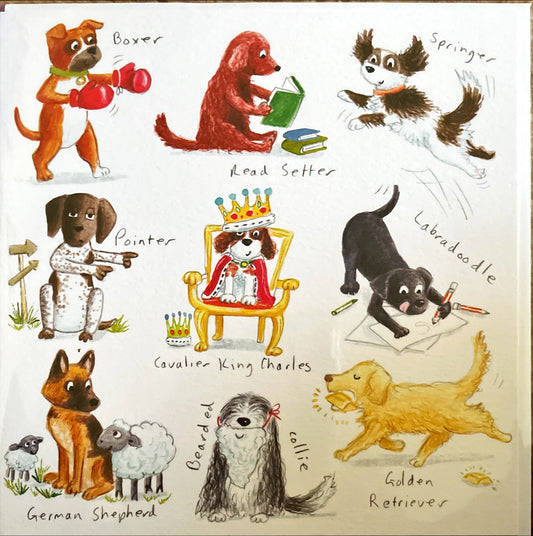 Animal Cards